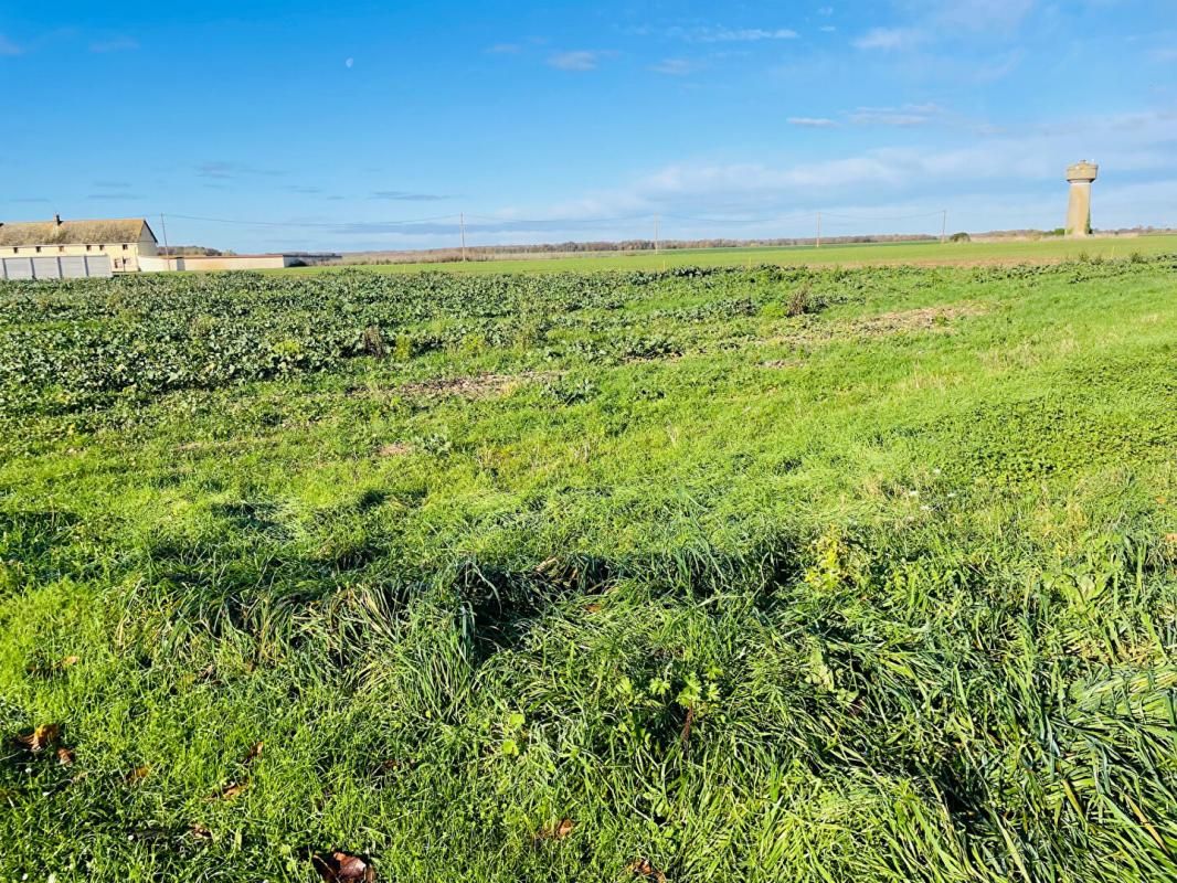 Terrain constructible dans cadre agréable 5 min de Nogent le Roi