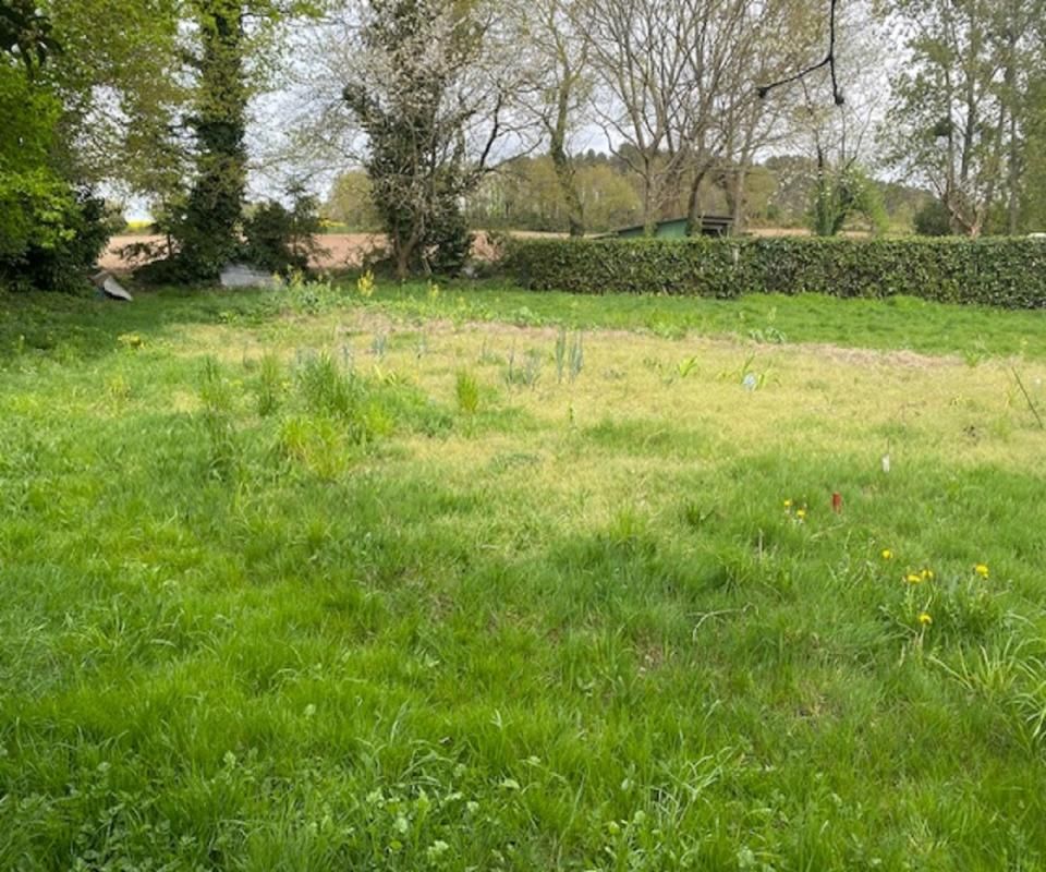 MOLAC MOLAC Terrain constructible 1000 m2 4