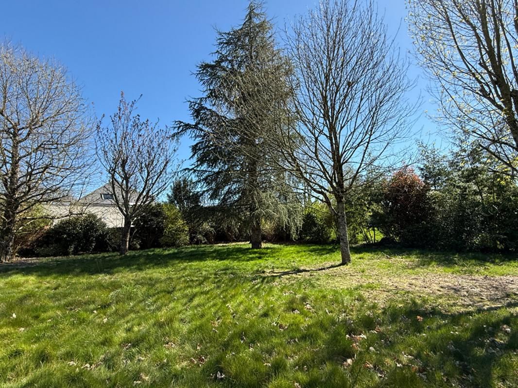 MEUCON NOUVEAU Terrain à bâtir de 697 M²  : Un cadre de vie privilégié à deux pas du bourg de MEUCON 3