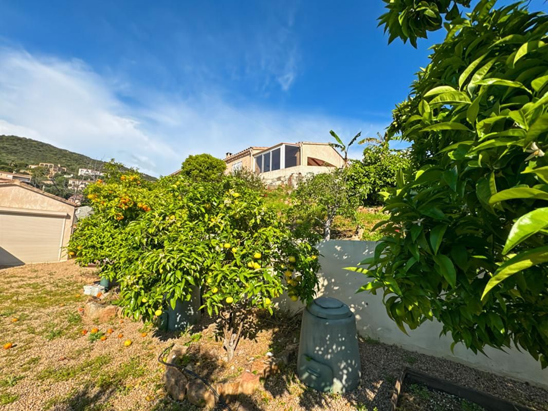 SAGONE Maison Sagone 95 m2 2