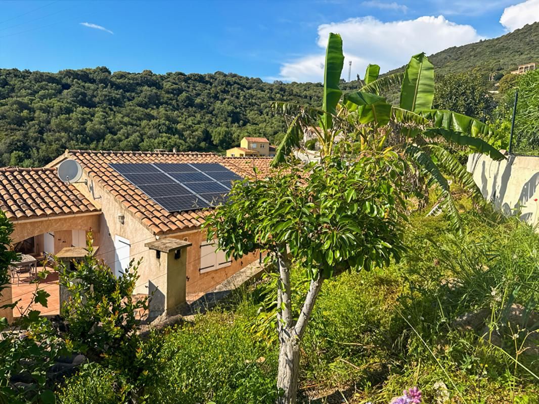 SAGONE Maison Sagone 95 m2 4