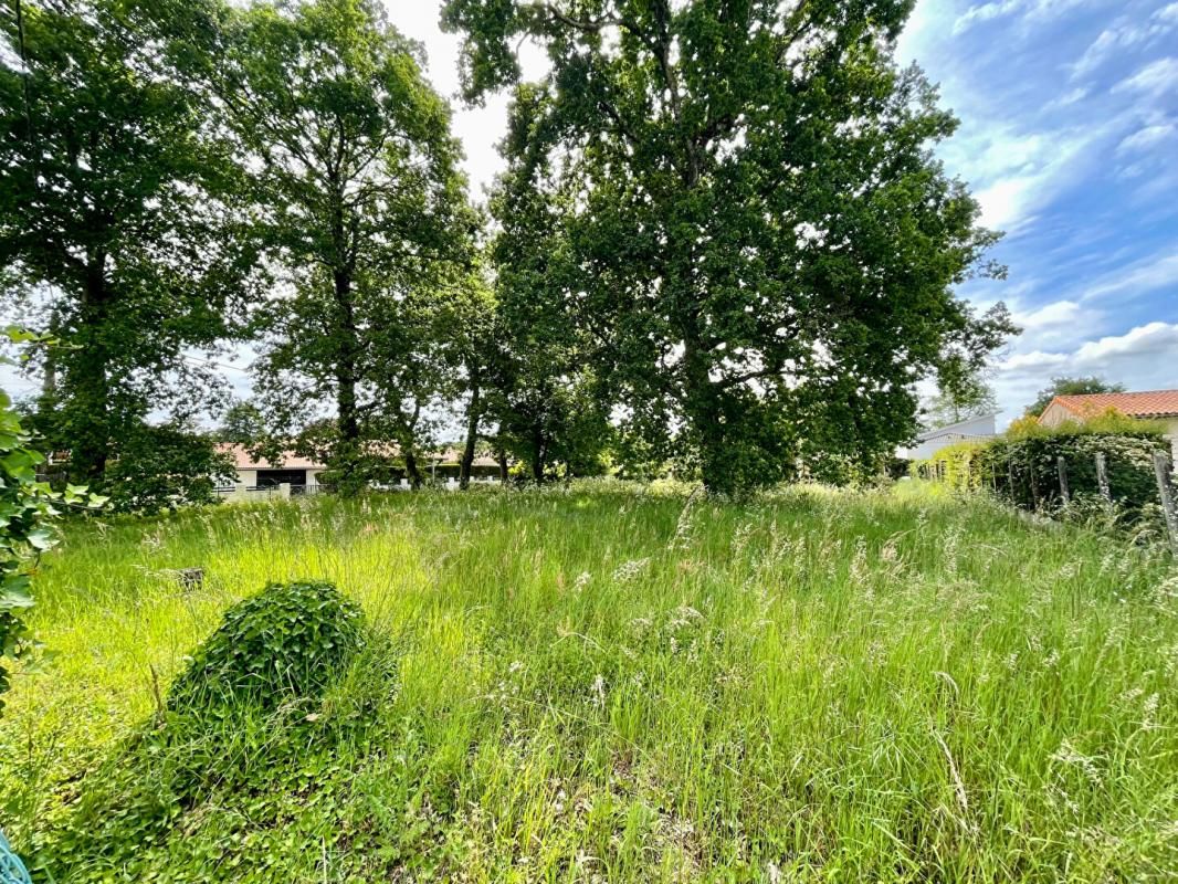 MERIGNAC Terrain Merignac 1119 m2 3