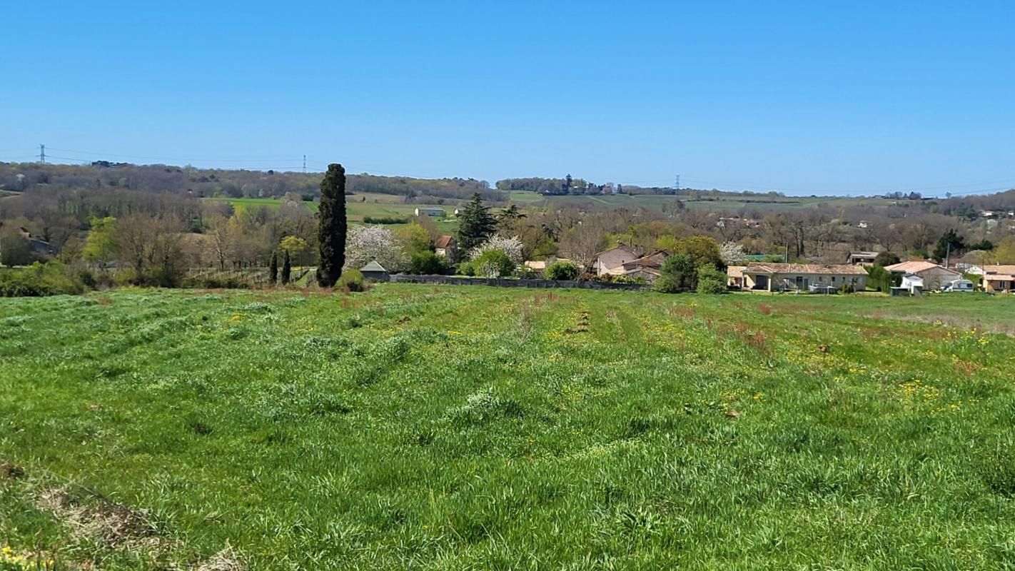 PINEUILH 33220 proche Pineuilh Terrain pour reboisement d'une superficie de 6ha 37 avec contrat 2