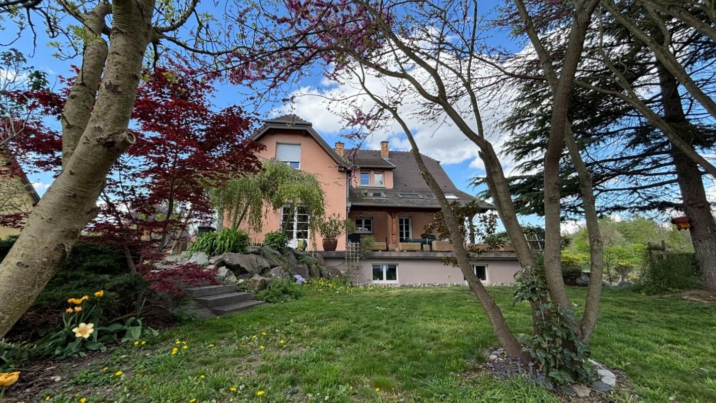 Maison Colmar 12 pièce(s) 370 m2