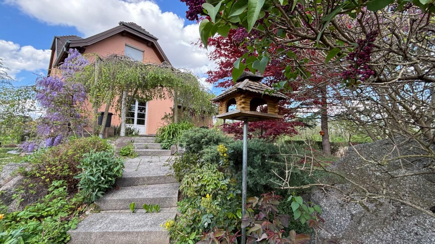 COLMAR Maison Colmar 12 pièce(s) 370 m2 2