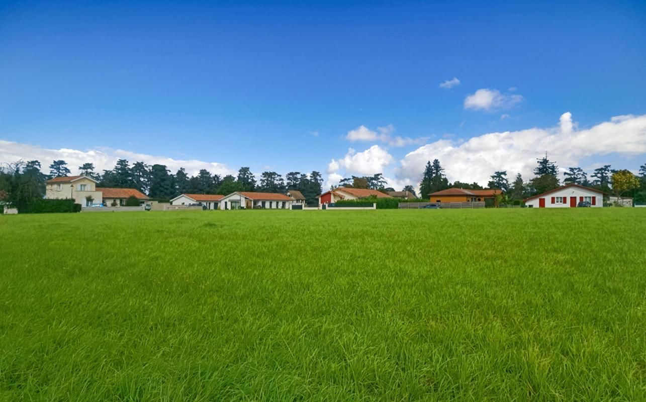 BIDACHE 64270  LABASTIDE VILLEFRANCHE terrain constructible 5000 M2 à 10 mn BIDACHE 4