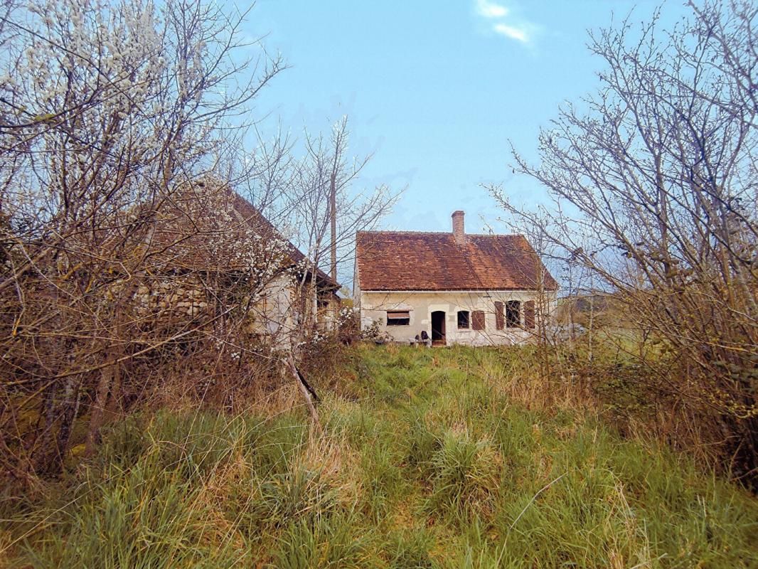 CHAMBON Petite Maison de 1820 ..sur 24 Ha de prairies 2