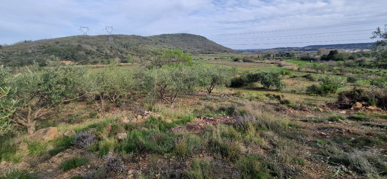 FONTES Terrain agricole et de loisir de  20600 m2 2