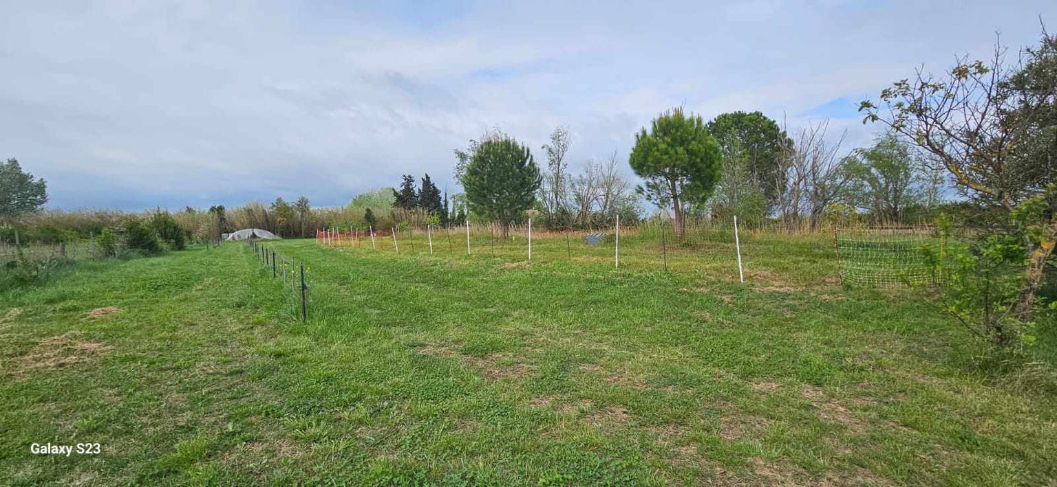 SAINT-MARTIN-DE-CRAU Maison Arles 9 pièce(s) 303 m2 SUR 1 hectare de parcelle 2