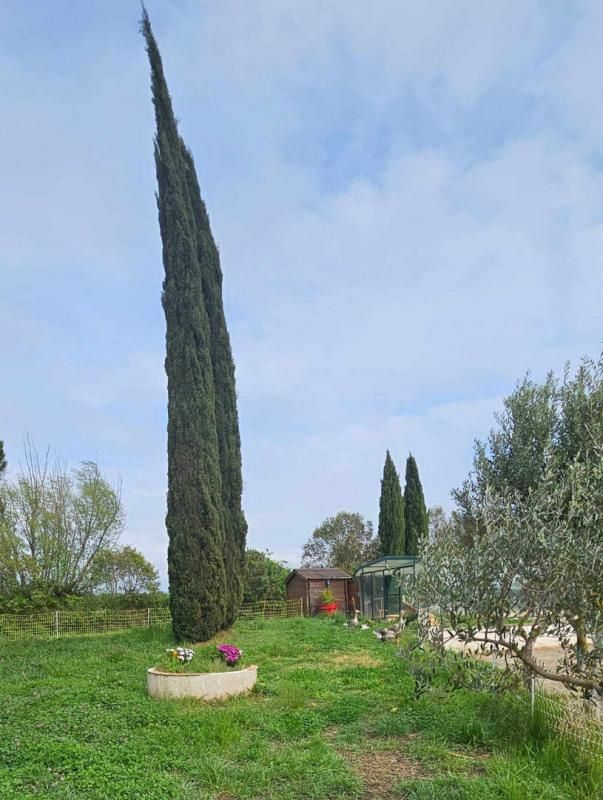SAINT-MARTIN-DE-CRAU Maison Arles 9 pièce(s) 303 m2 SUR 1 hectare de parcelle 3