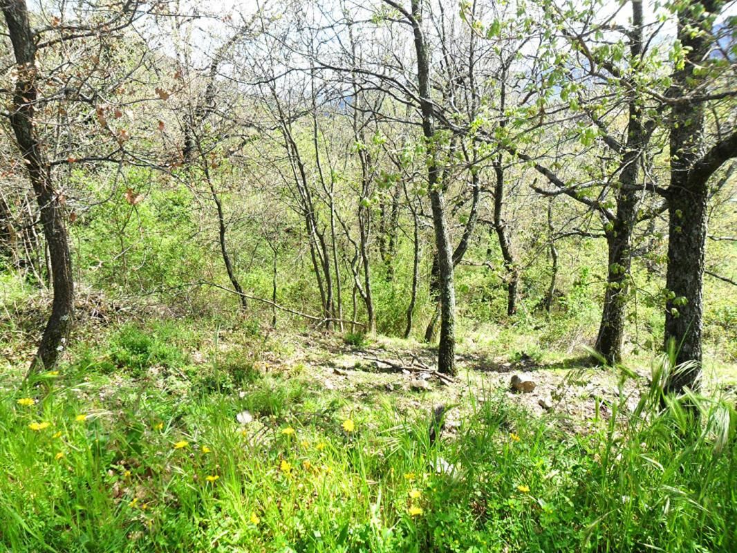 Terrain Vénaco 500 m2
