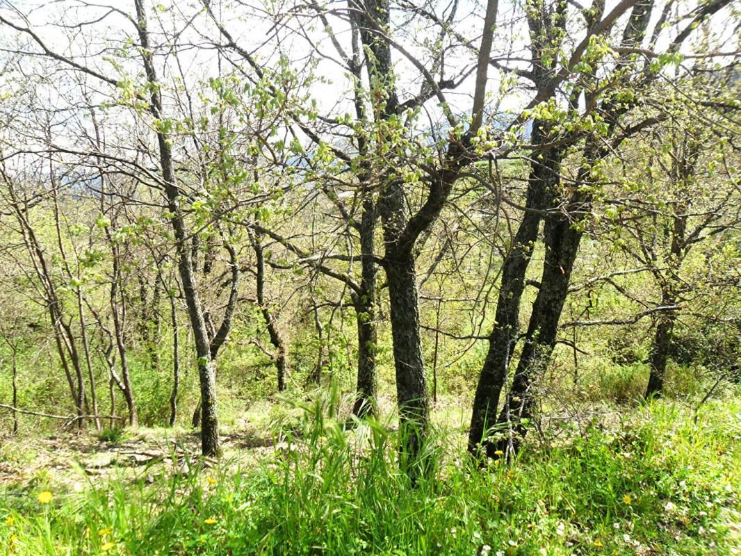 CORTE Terrain Vénaco 500 m2 2