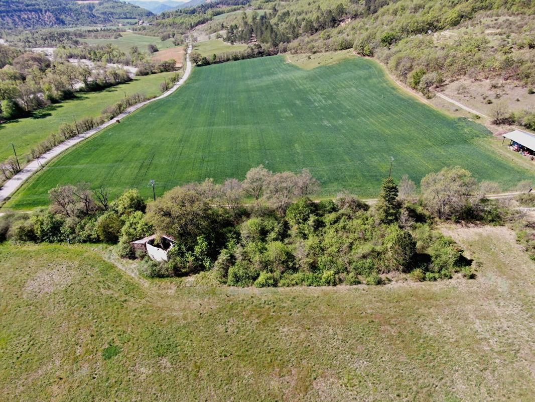 Terrain constructible 4159m2 Thoard (04380)