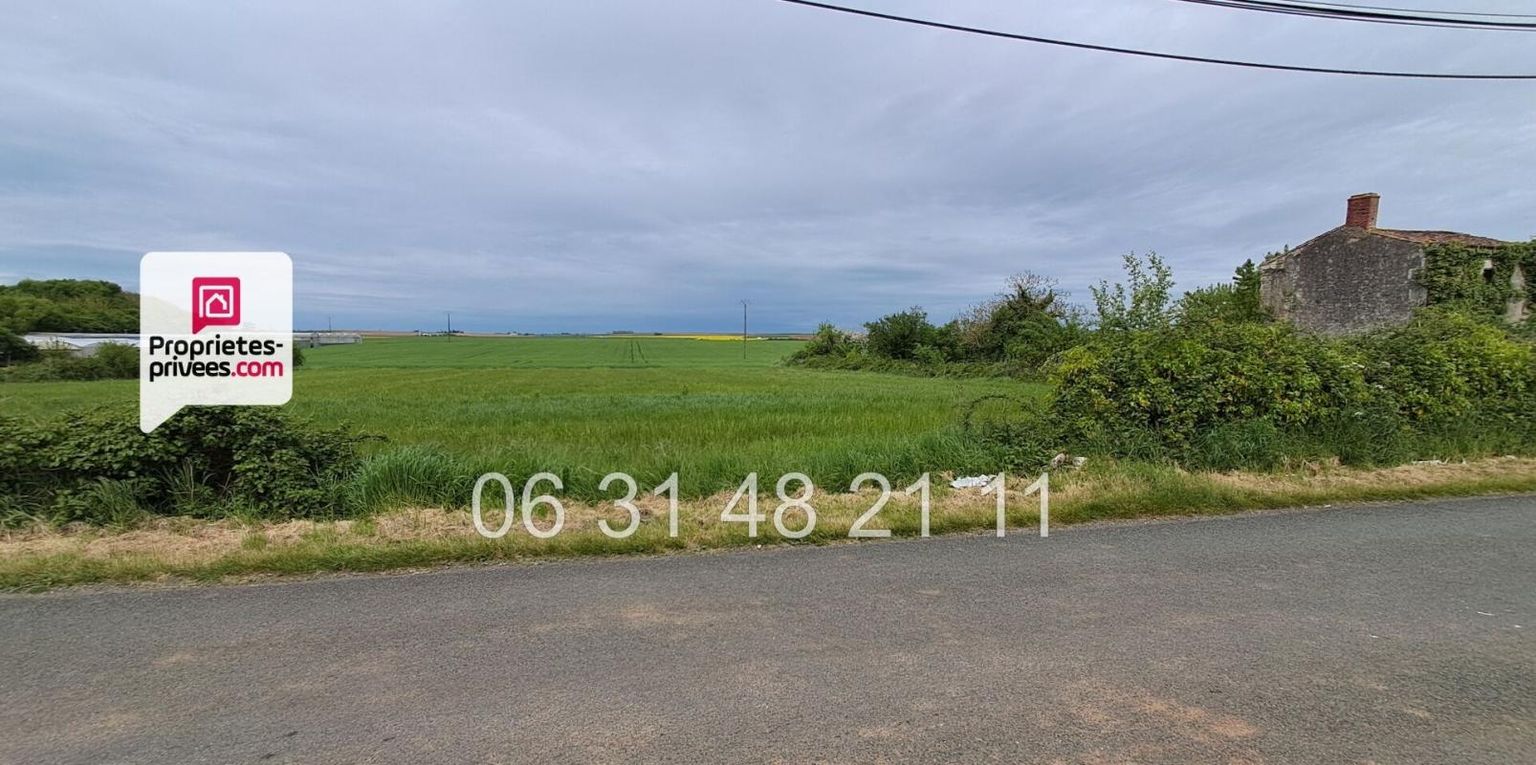 MONTREUIL À VENDRE TERRAIN CONSTRUCTIBLE EN CAMPAGNE MONTREUIL (85200) 2
