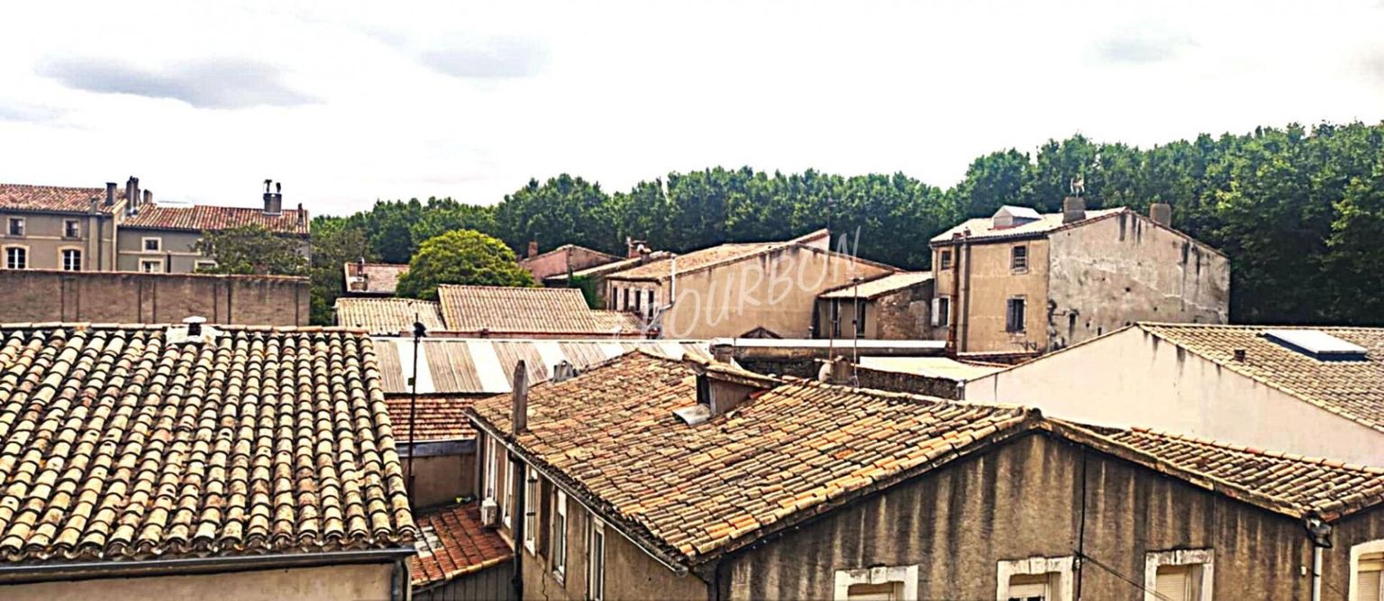 CARCASSONNE Appartement Carcassonne 2 pièces 52 m2 Très lumineux 3
