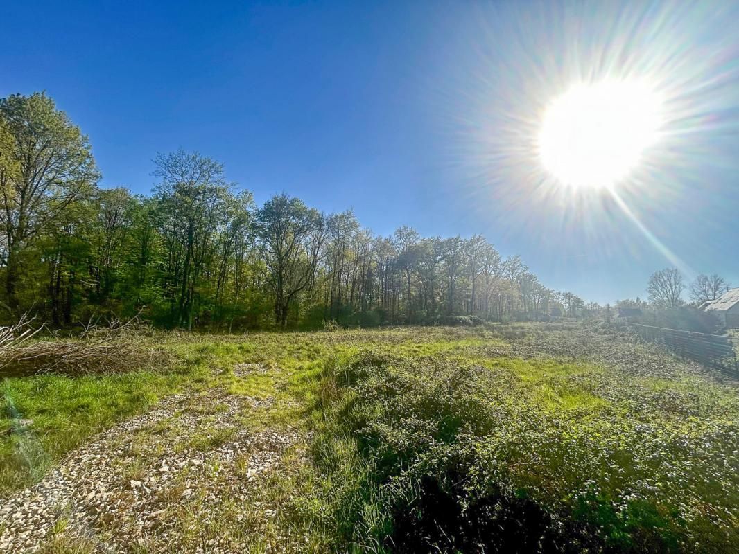 VILLEFRANCHE-SUR-CHER Terrain Villefranche Sur Cher 6800 m2 2