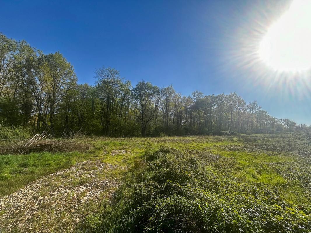 VILLEFRANCHE-SUR-CHER Terrain Villefranche Sur Cher 6800 m2 3