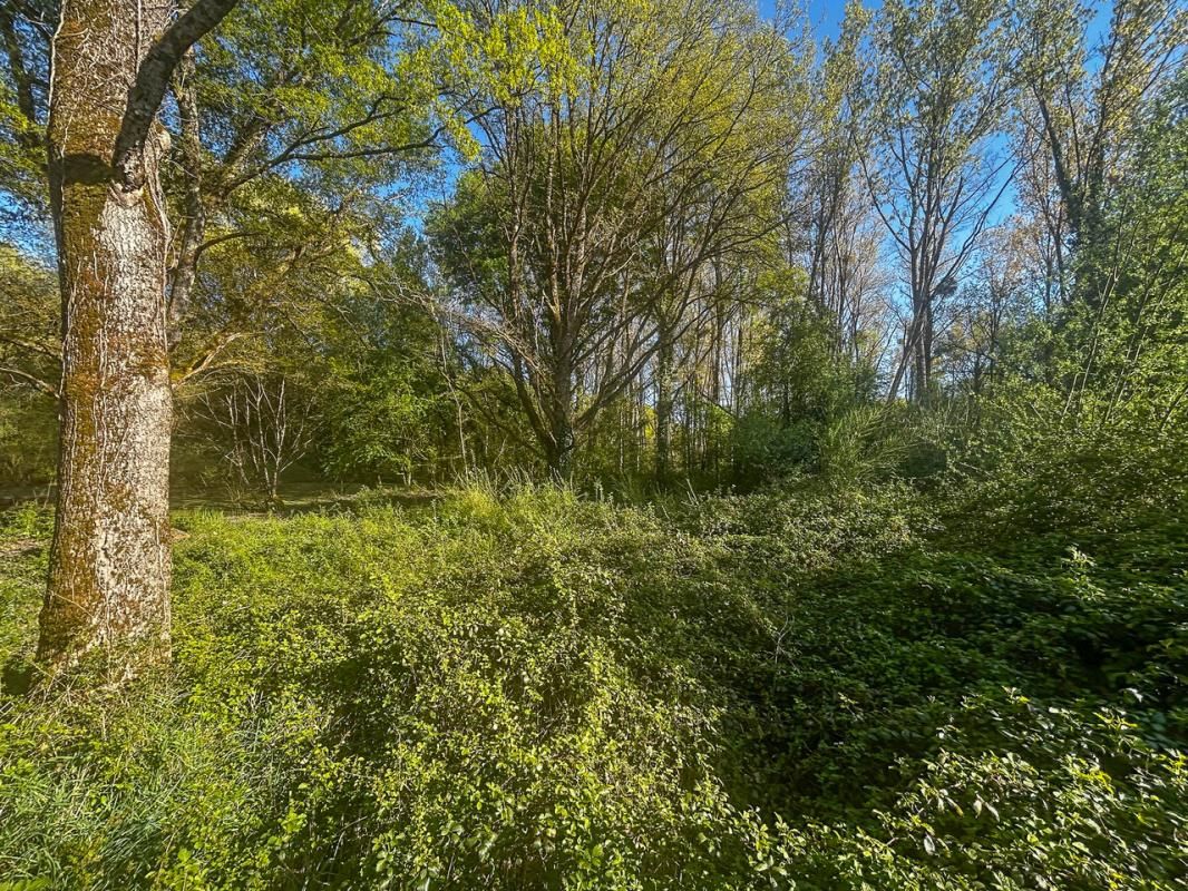 VILLEFRANCHE-SUR-CHER Terrain Villefranche Sur Cher 6800 m2 4