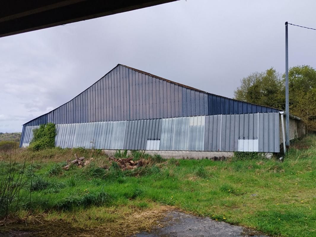 LANGONNET Terrain  36300 m2 + hangar + ancienne stabulation 2
