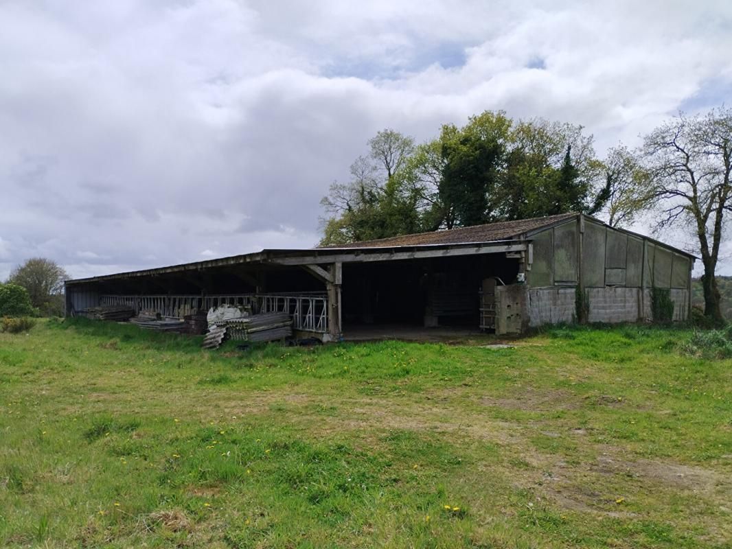 LANGONNET Terrain  36300 m2 + hangar + ancienne stabulation 3
