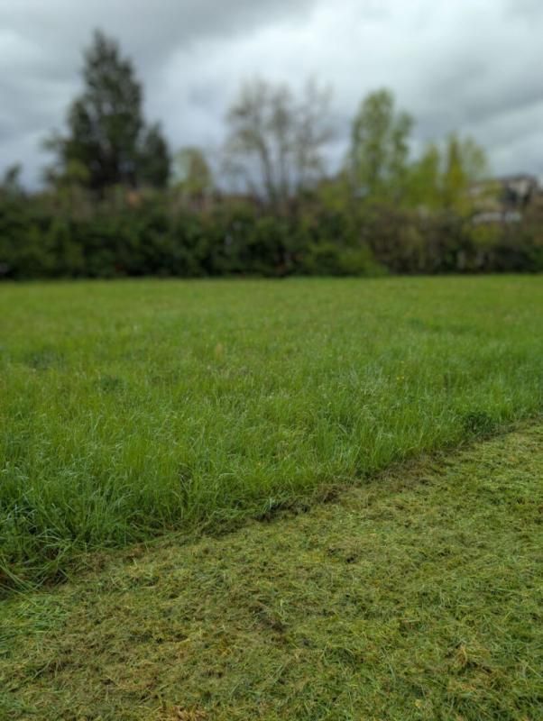 Terrain constructible