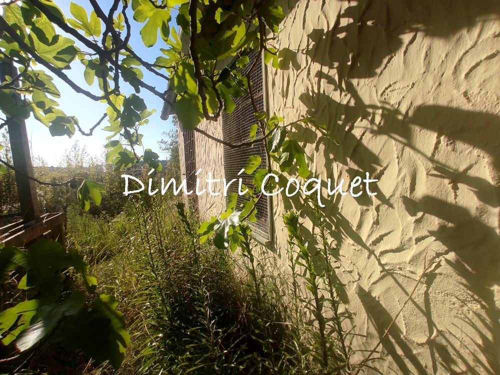 PéZENAS Mazet sur terrain constructible Pézenas 34120 3