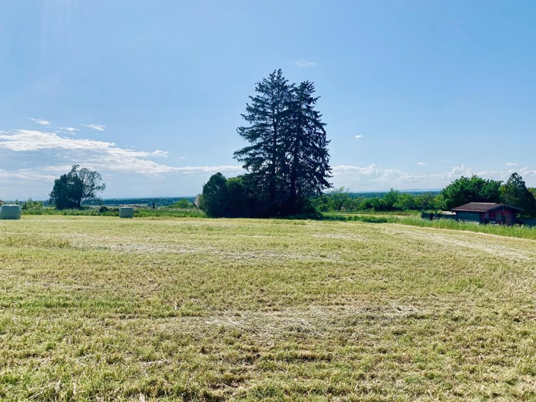 Magnifique parcelle de 4000m2 à Saint Amour