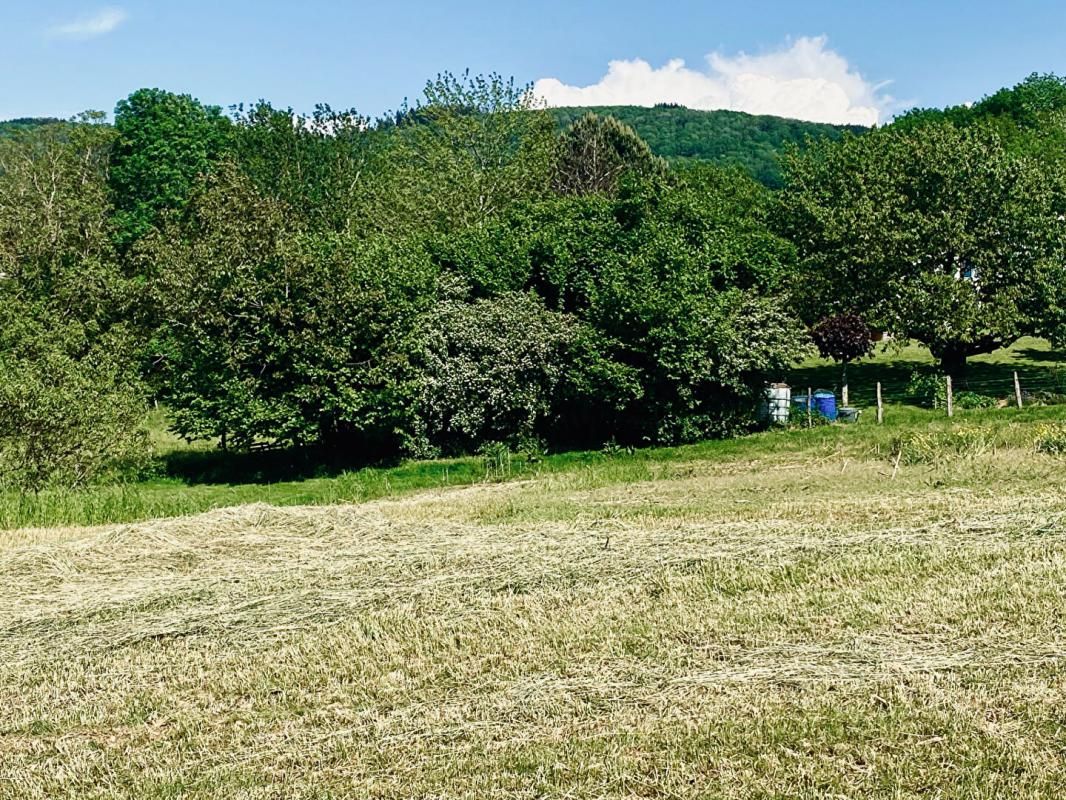 SAINT-AMOUR Magnifique parcelle de 4000m2 à Saint Amour 2