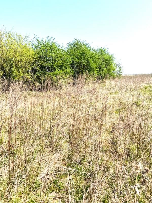 Terrain à bâtir de 503 m² à vendre ? Marest-Dampcourt (axe Noyon / Chauny)