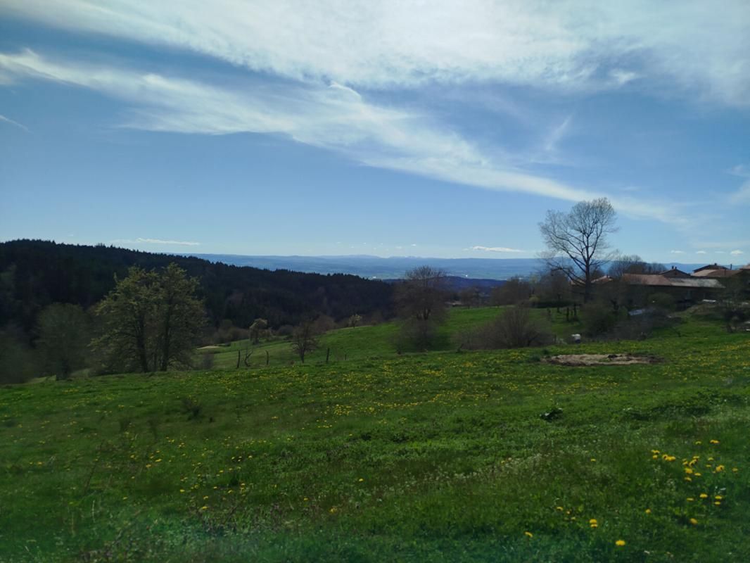 CHASSIGNOLLES Belle maison en pierre 4