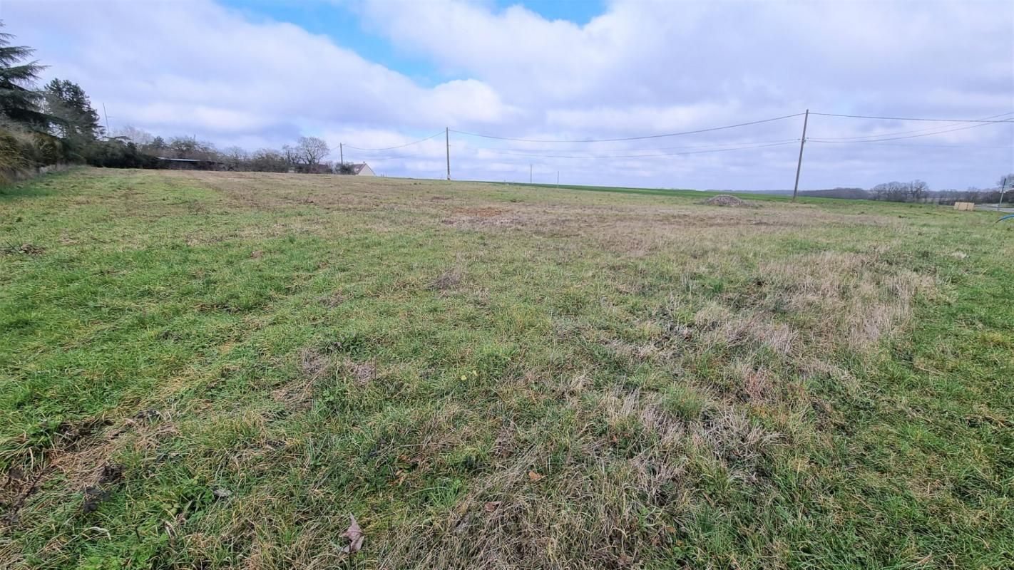 TREMBLAY-LES-VILLAGES TREMBLAY-LES-VILLAGE - Beau terrain à bâtir de 959 m² 2