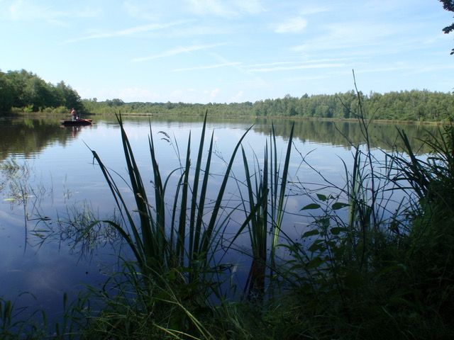 CITERS Etang de 7ha à Citers 2