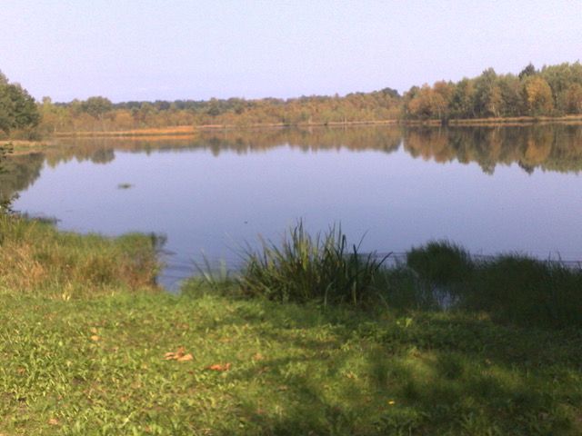 CITERS Etang de 7ha à Citers 3