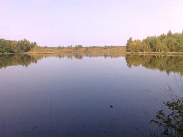 CITERS Etang de 7ha à Citers 4