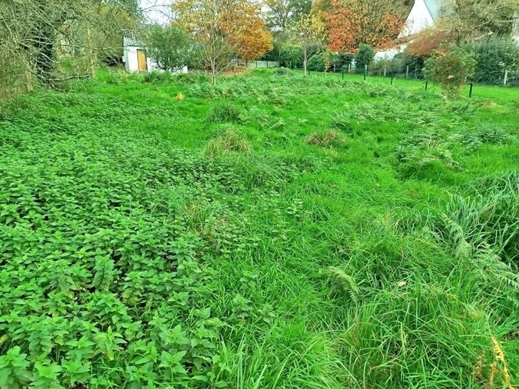PLUMÉLIAU-BIEUZY Maison Pluméliau avec terrain 3
