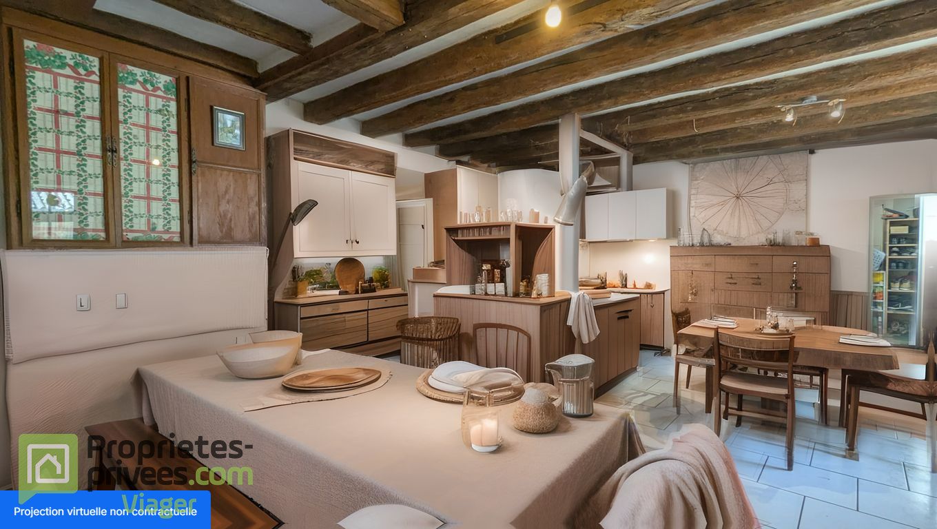 HOMMES Maison en viager occupé.HOMMES .LANGEAIS 3