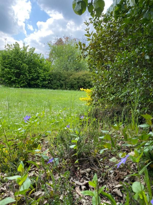 SENE terrain constructible viabilisé proche du bourg