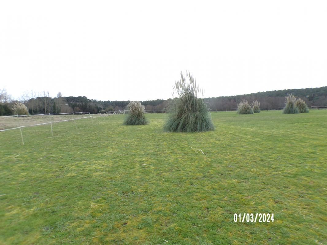 Terrain Soustons 4165 m2