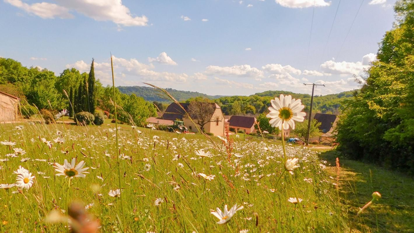 VITRAC Terrain à bâtir viabilisé, Vitrac 24200, 2561 m², tout-à-l'égout et compteurs en place 2