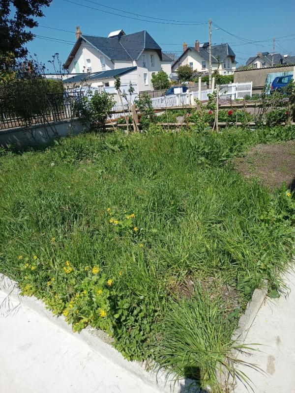 DIVES-SUR-MER Maison  4 pièce(s) 65 m2 3