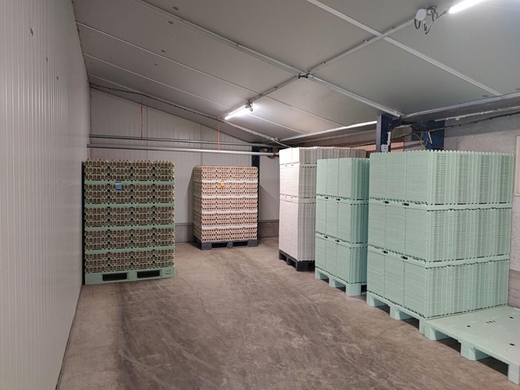 ALLINEUC Ferme 4550 m2 3