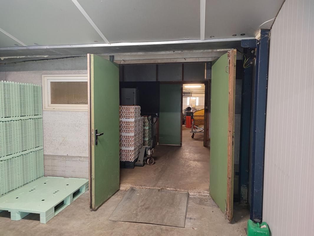 ALLINEUC Ferme 4550 m2 4