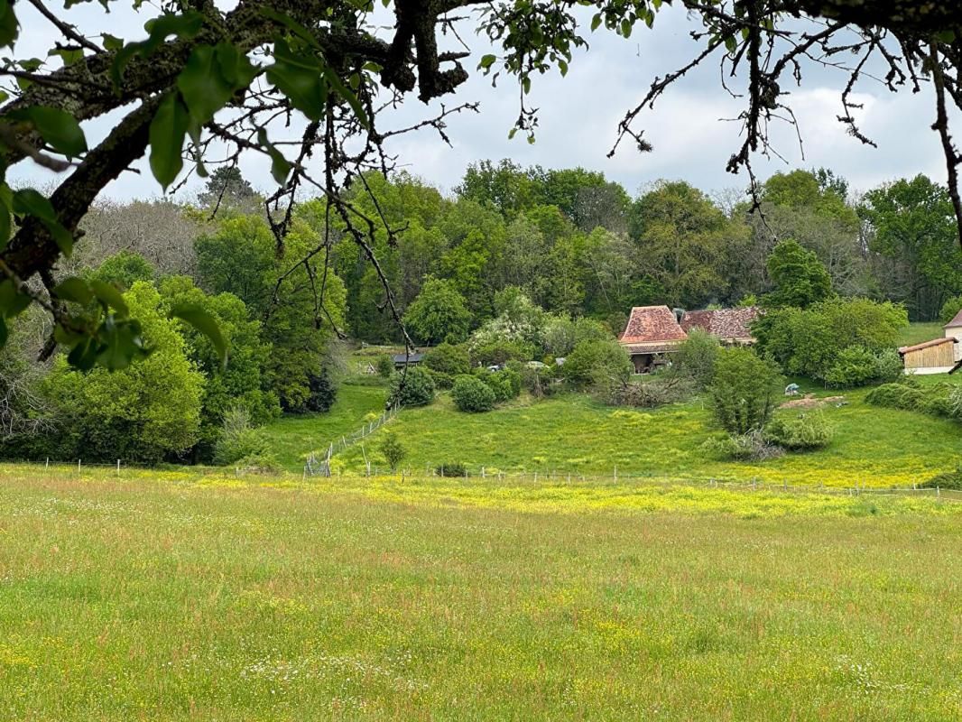 SAINT-CAPRAISE-DE-LALINDE Fermette et grange en pierre , 5 pieces, 3 chambres, piscine , puits, 6.5HA jolie vue 4