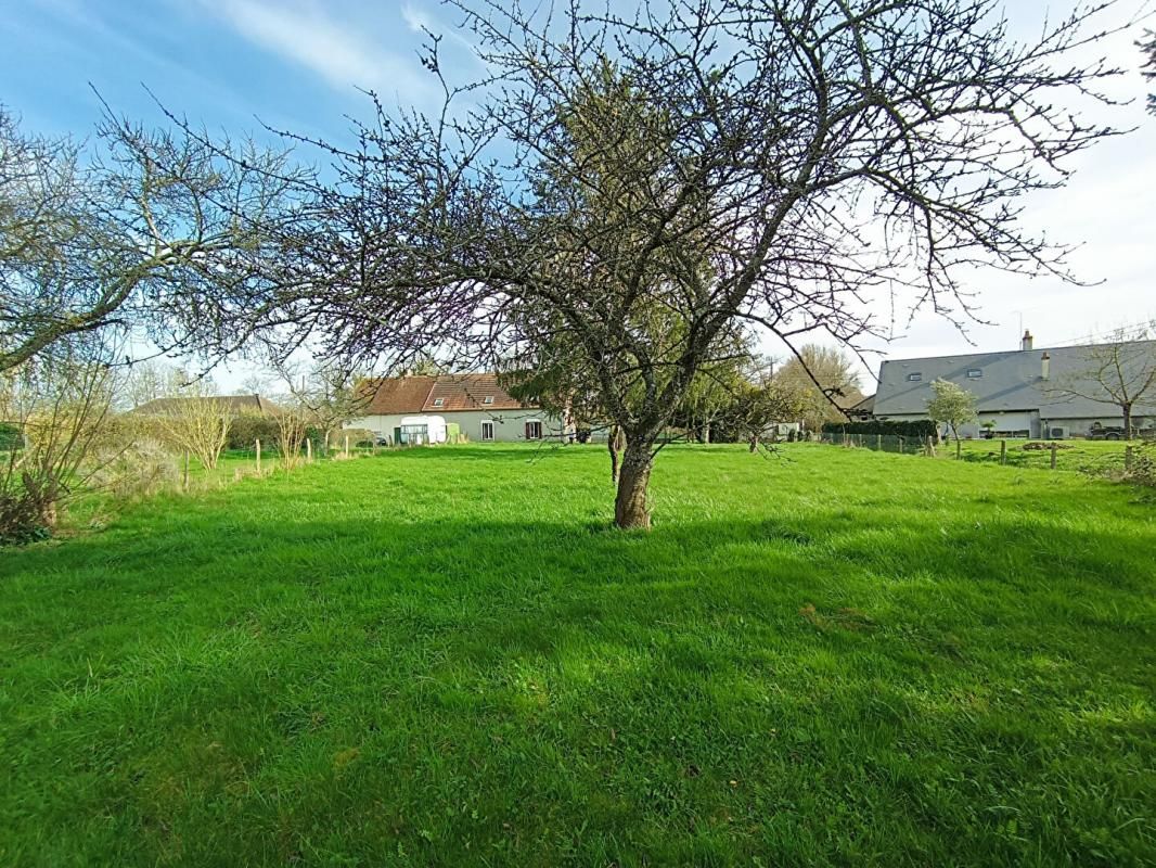 PREMERY PROCHE PREMERY - ENSEMBLE DE 2 MAISONS 3