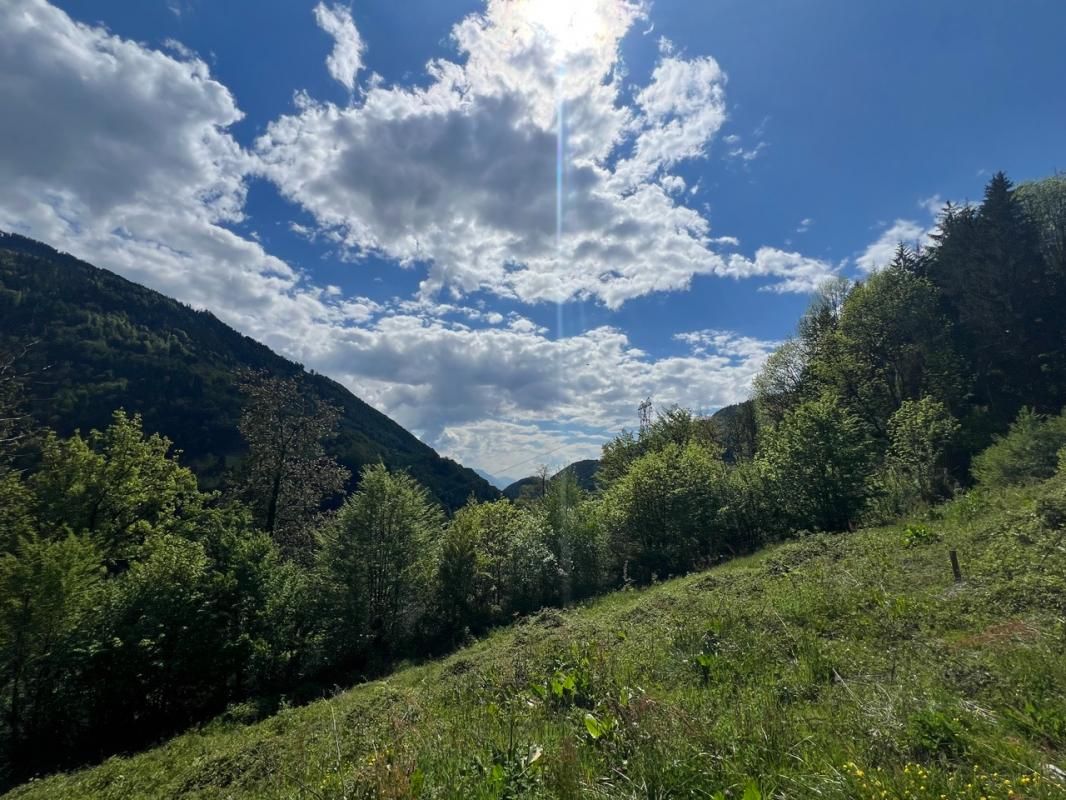 QUEIGE Terrain constructible situé aux portes du Beaufortain 2
