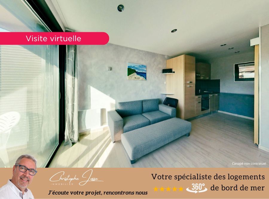 LEUCATE Studio rénové LEUCATE Naturiste 3