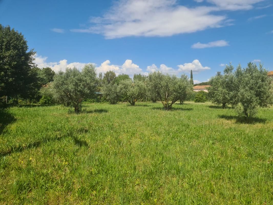 Terrain Paulhan 791 m2
