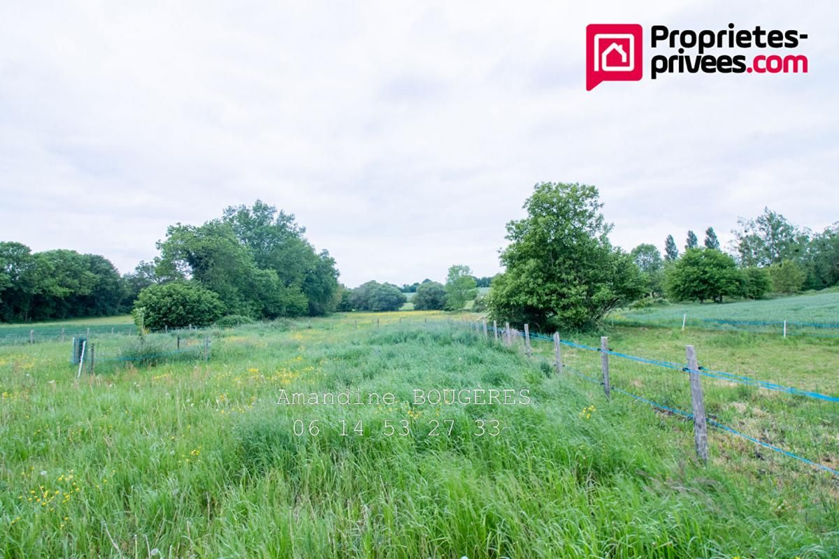 DOMALAIN MAISON 4 CHAMBRES- GRAND GARAGE - CAMPAGNE - 1 HECTARE - 239 990 EUROS HAI- CHENILS ( 24 chiens) 3