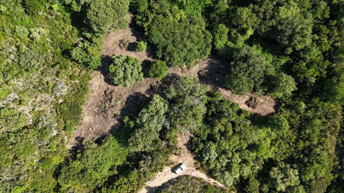 PIETROSELLA VENTE TERRAIN CONSTRUCTIBLE 5556 m² PIETROSELLA (20166) 1