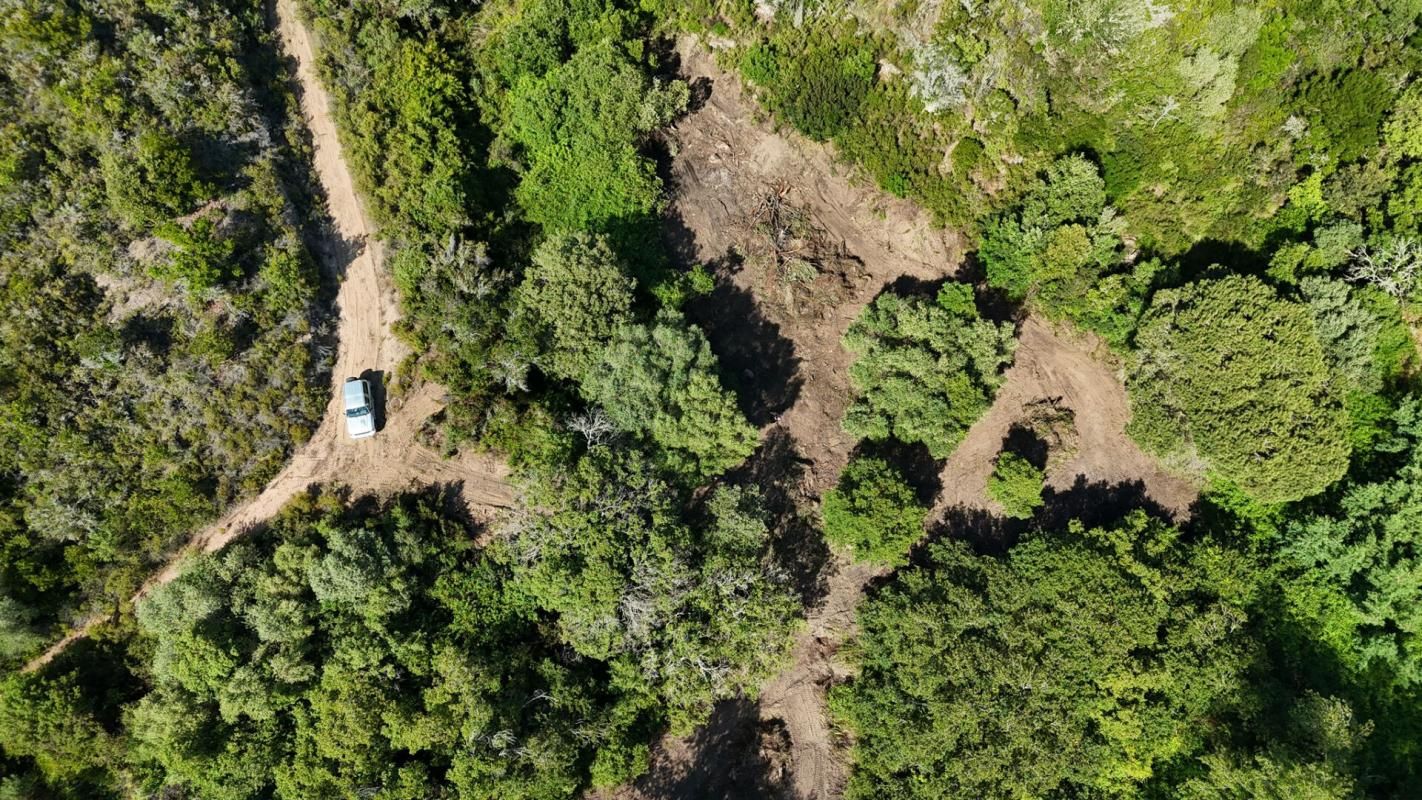 PIETROSELLA VENTE TERRAIN CONSTRUCTIBLE 5556 m² PIETROSELLA (20166) 2